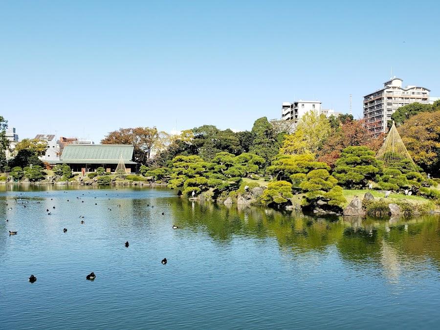 清澄公園