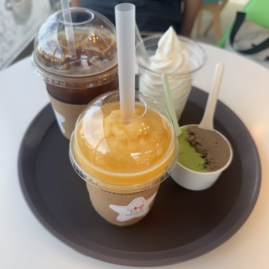 제주의별