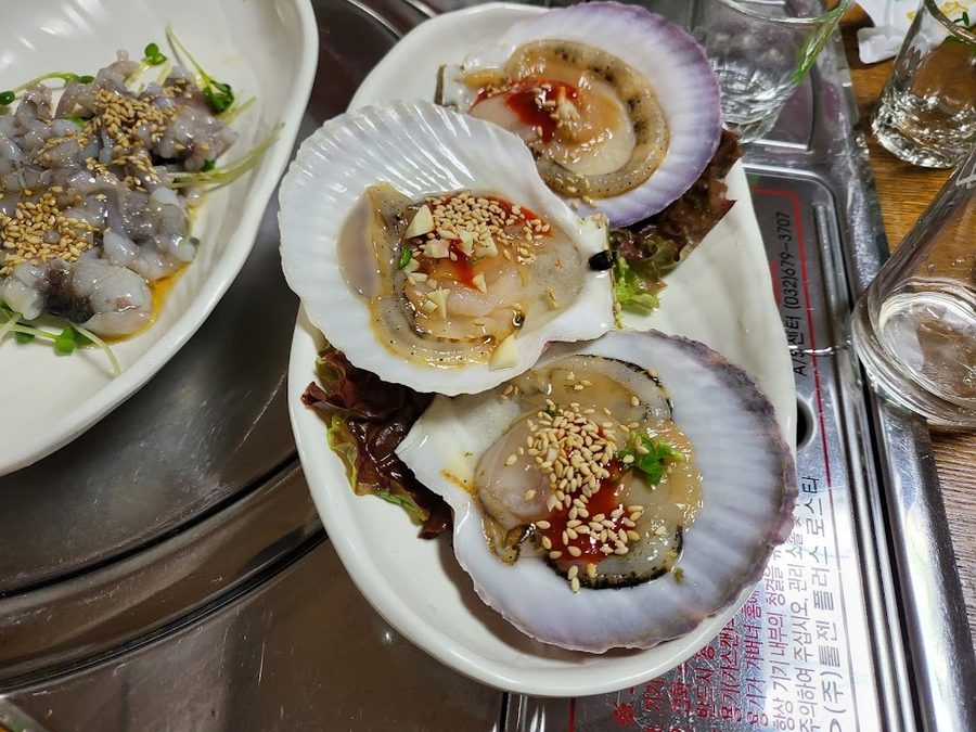 용두포구 활어회