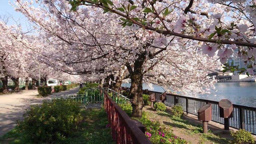 Minamitenma Park