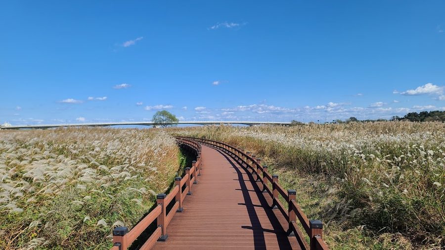 Namdaecheon Ecological Trail