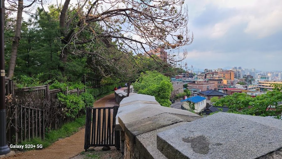 茶山城郭路