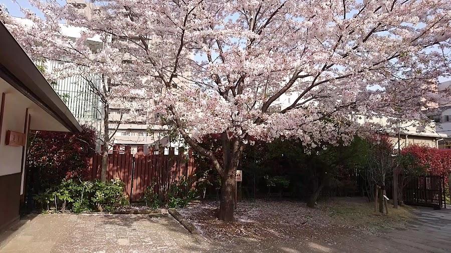 夏目漱石公園
