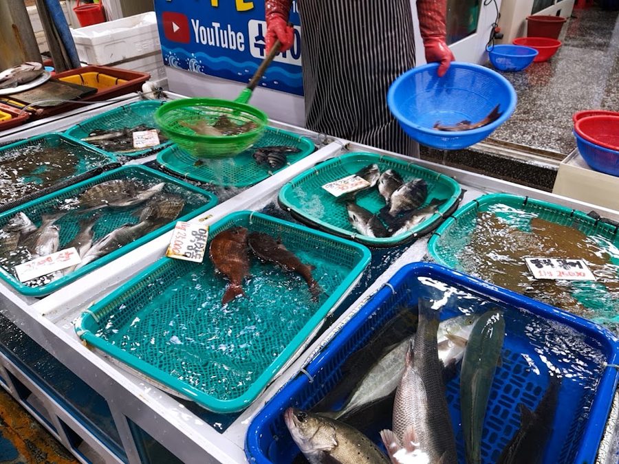 수아수산