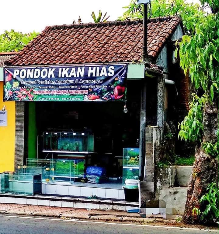 PONDOK IKAN HIAS