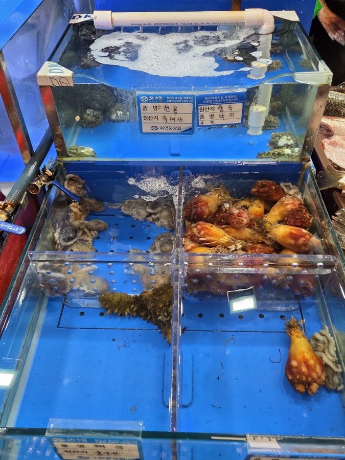 Noryangjin Fisheries Market Ttangkkeut Village