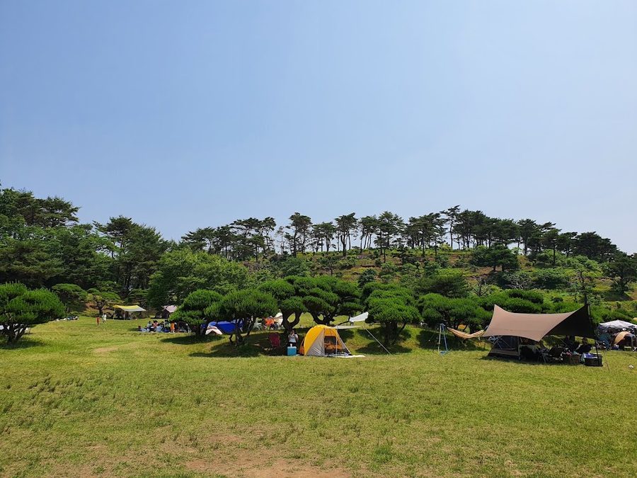 백양농원