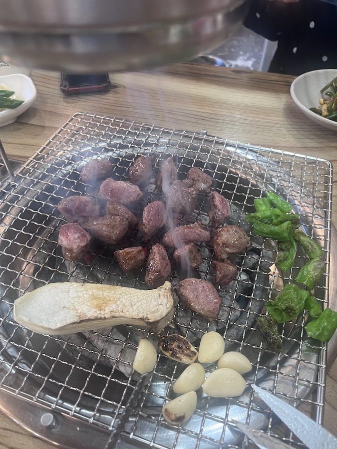가야갈매기
