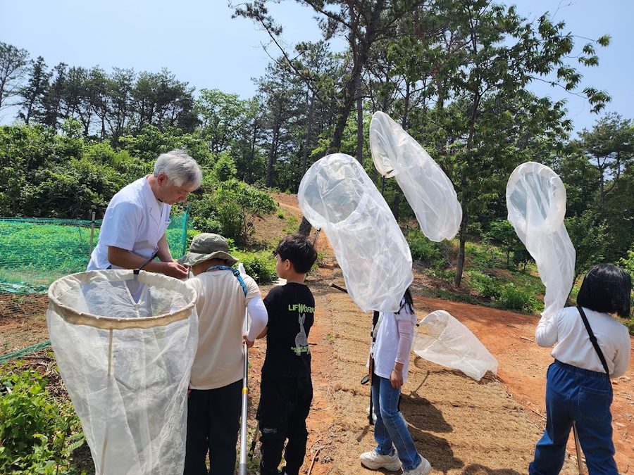 Suncheon Insect Museum