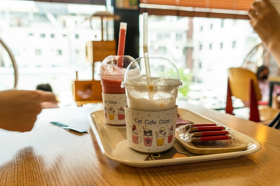 Cat Cafe DAZE