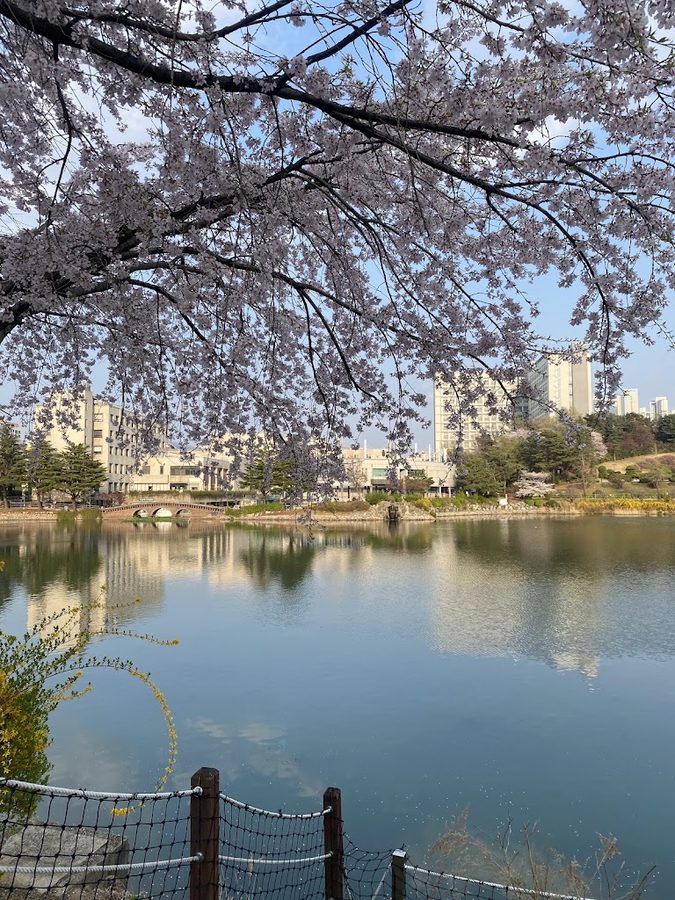 건국대학교 일감호