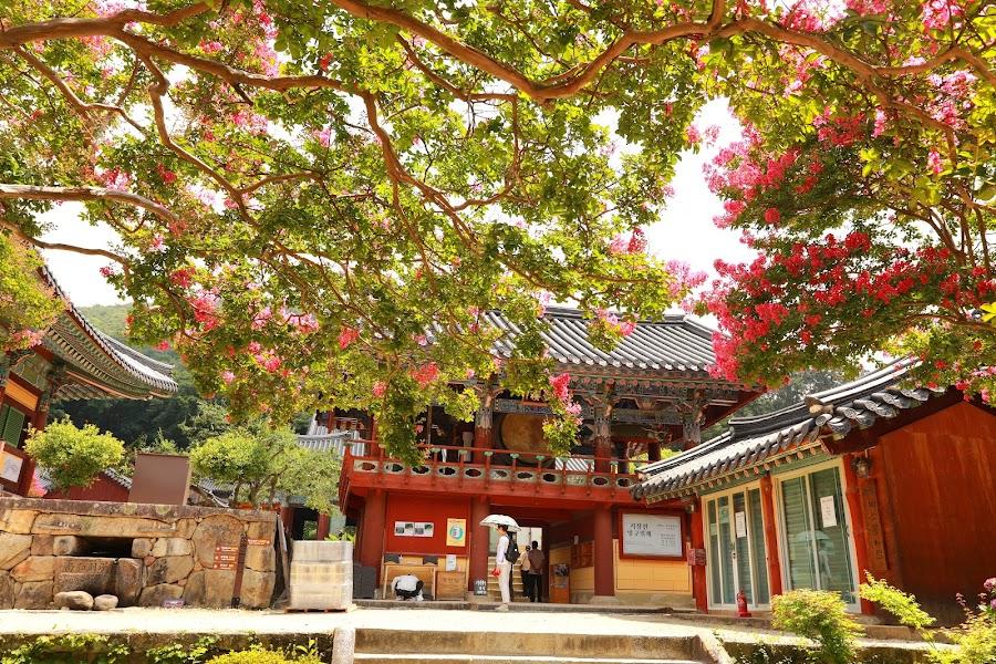 Songgwangsa Temple