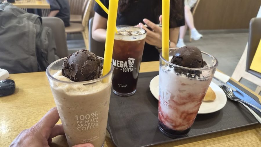 メガコーヒースソン店