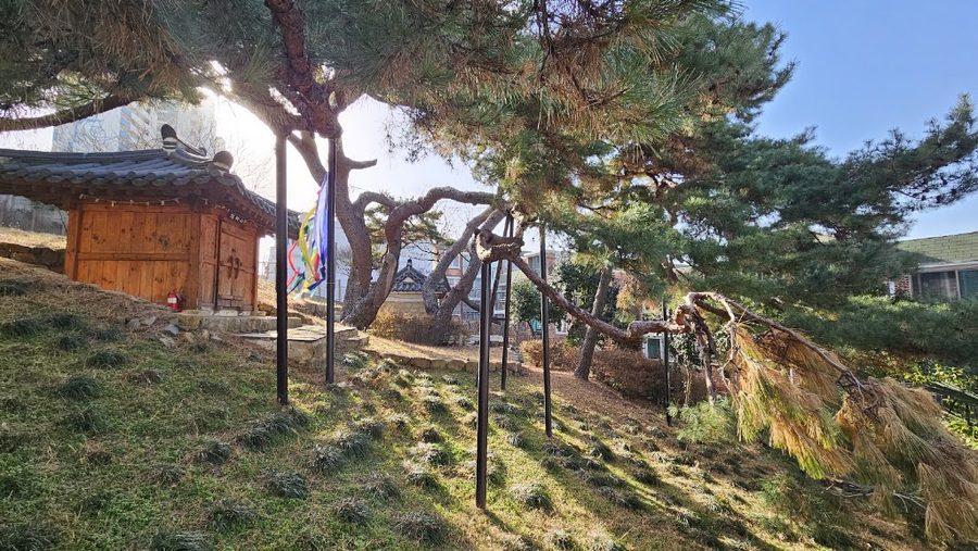 釜山 亀浦洞 タンスプ