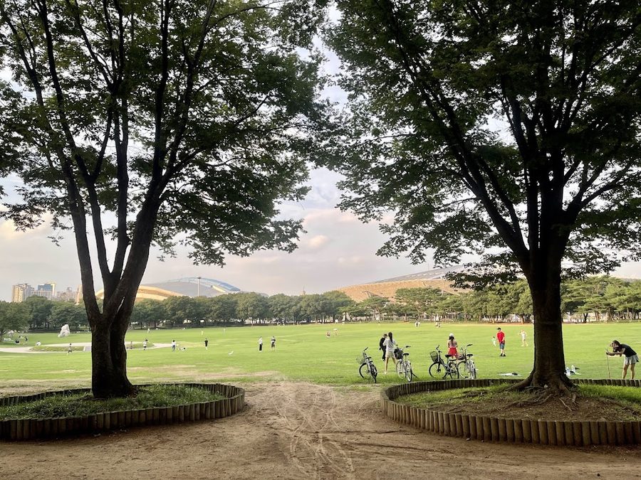 88 Lawn Field