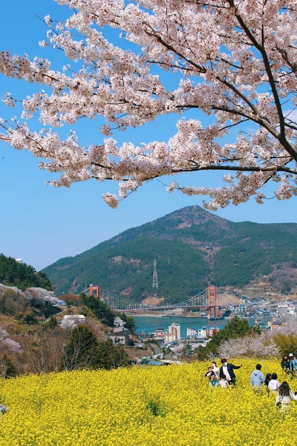 露梁公園