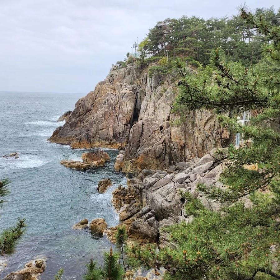 하조대