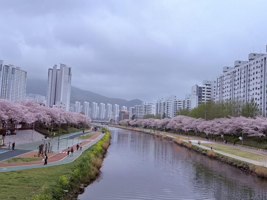 Oncheon-cheon