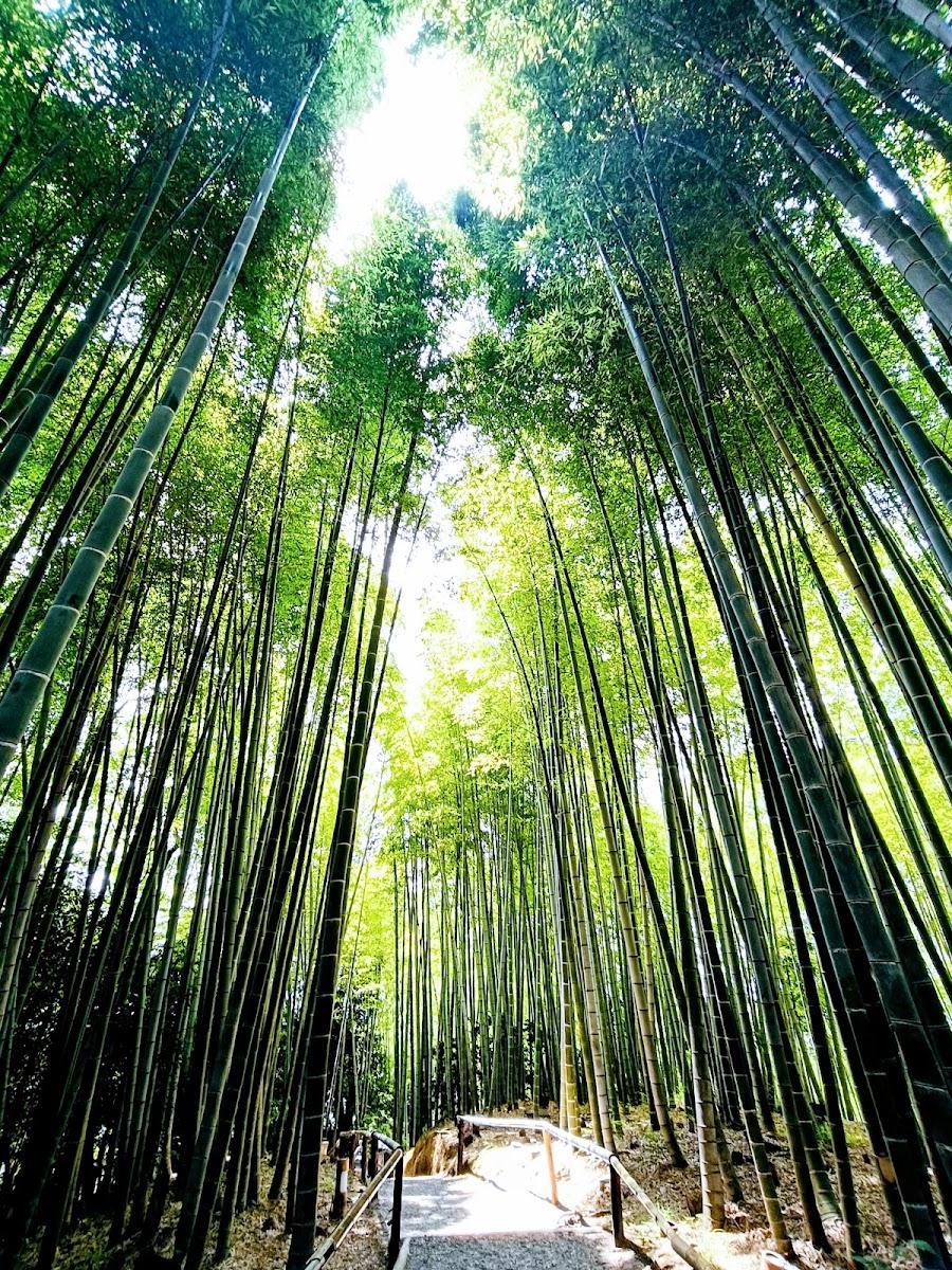 Chikurin