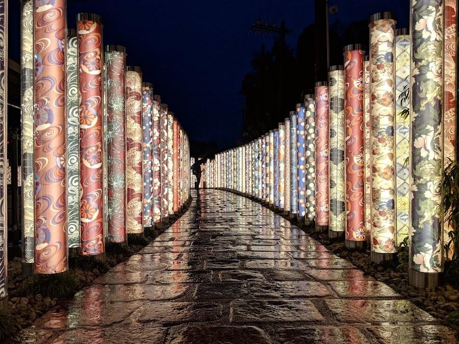 Kimono Forest