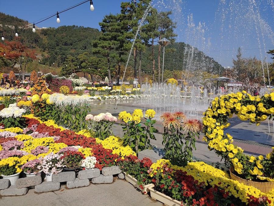 水上樂園