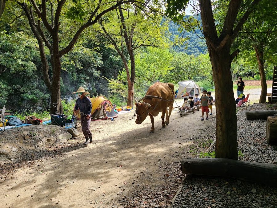 Sosori Farm