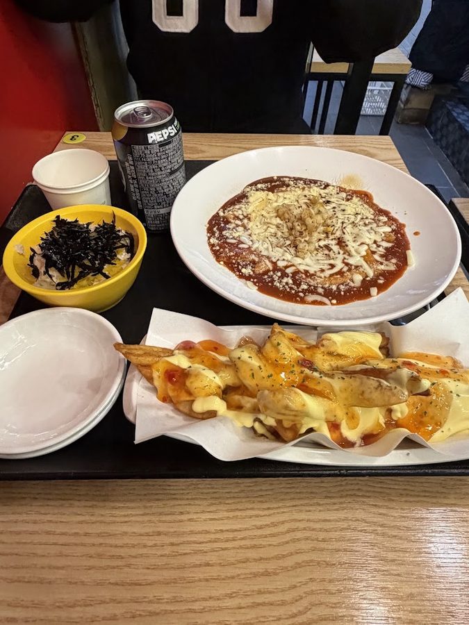 WOW Shin nae tteok(spicy Tteokbokki)