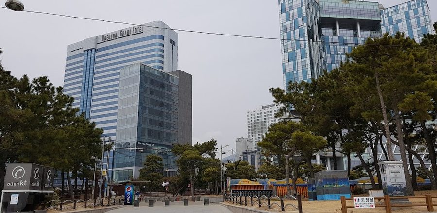 釜山海雲台冬柏島民宿