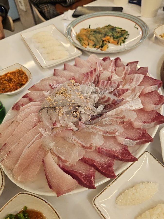 도미다리