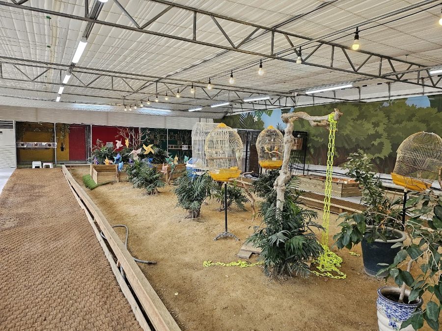 Bird & Zoo