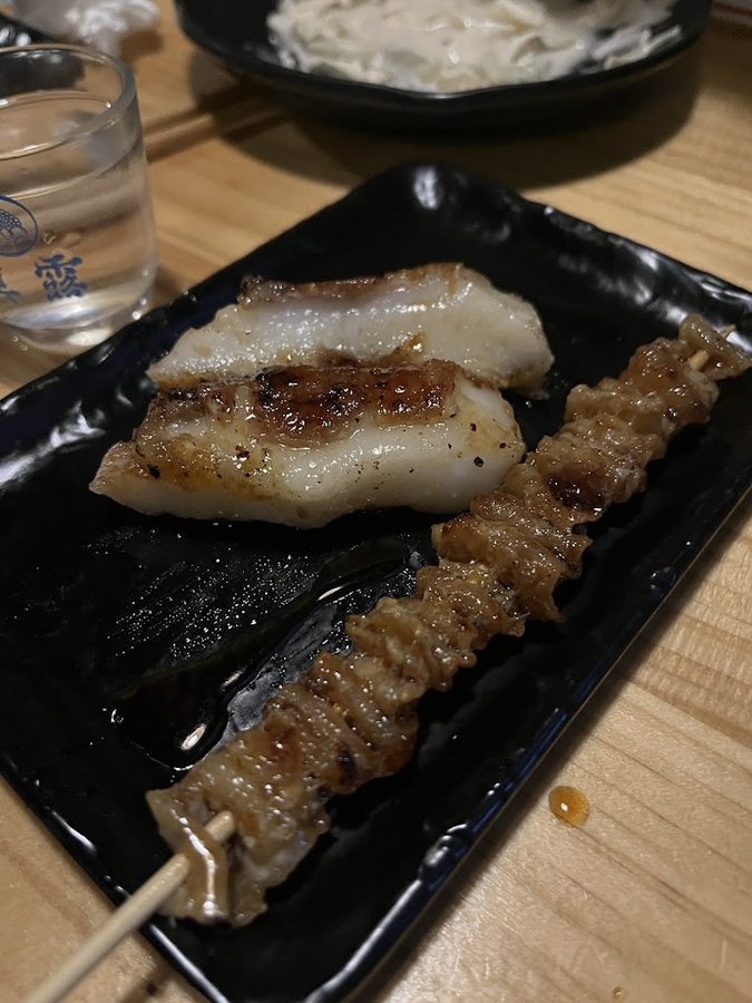 鮪魚鳥