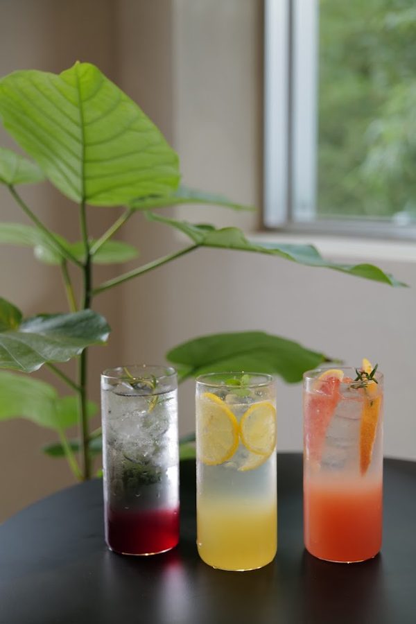 수유리조트