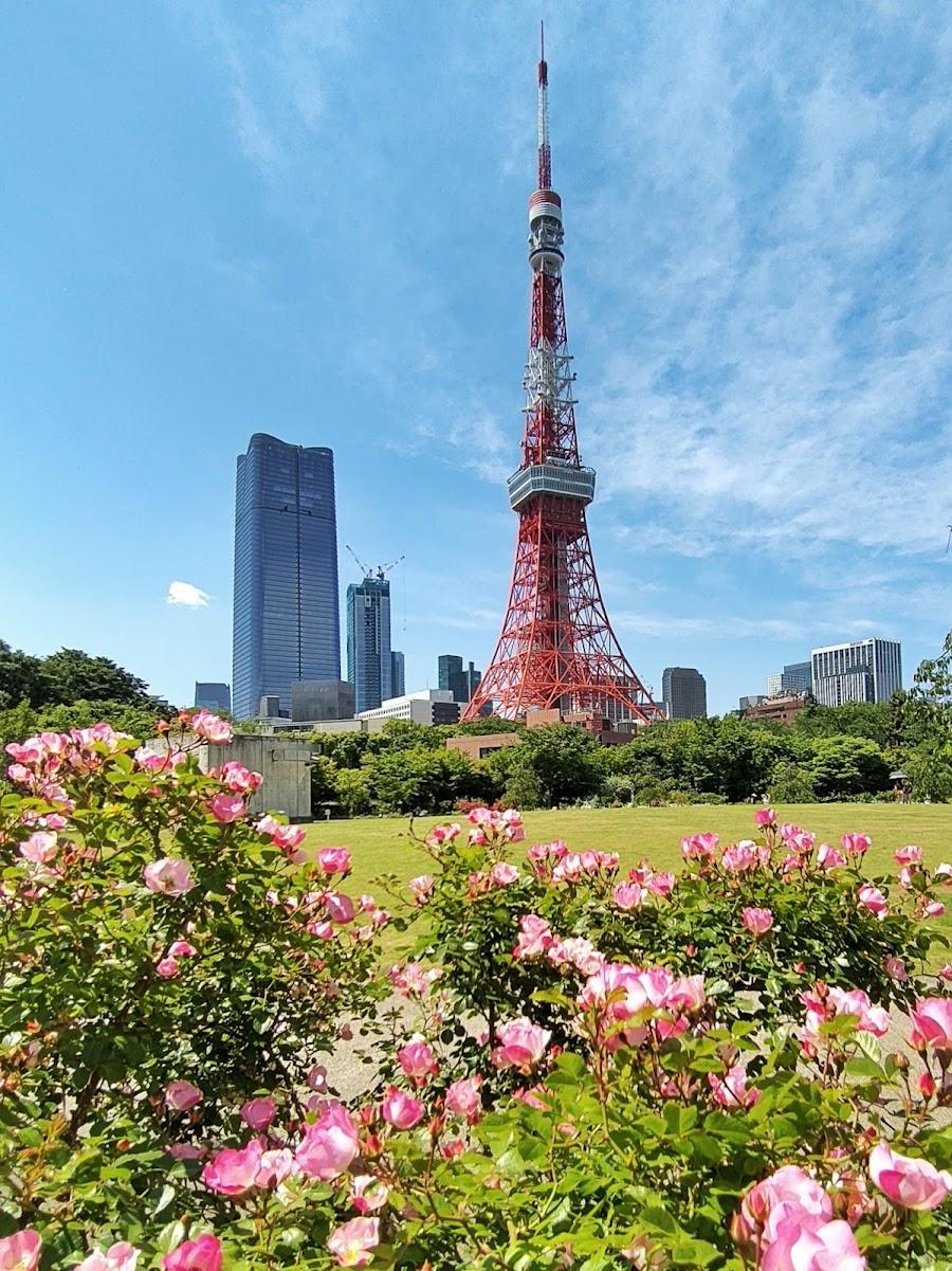 王子芝公園