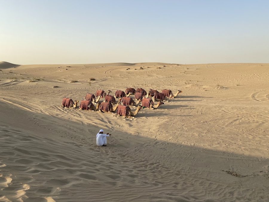 Al Marmoom Conservation Reserve