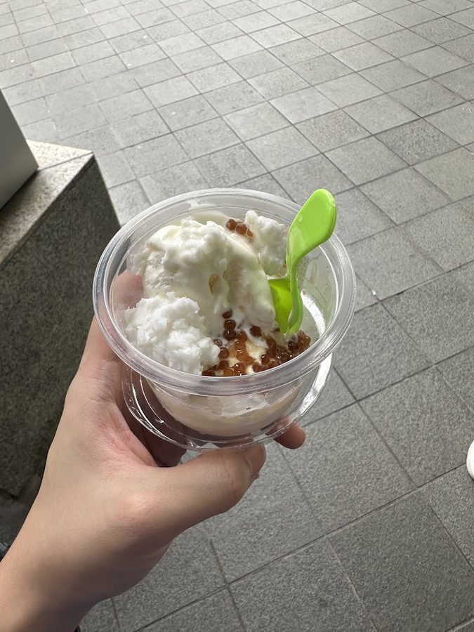 Mr. Coconut (Far East Plaza)
