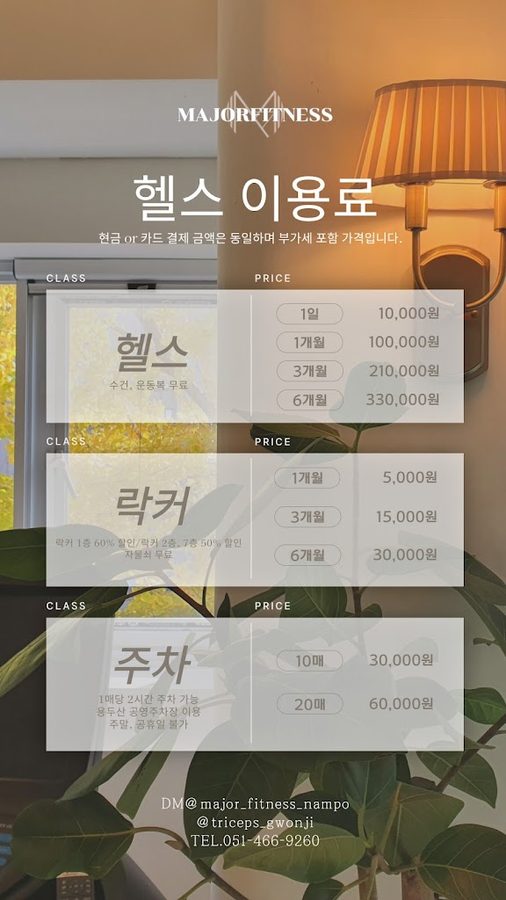 메이저피트니스