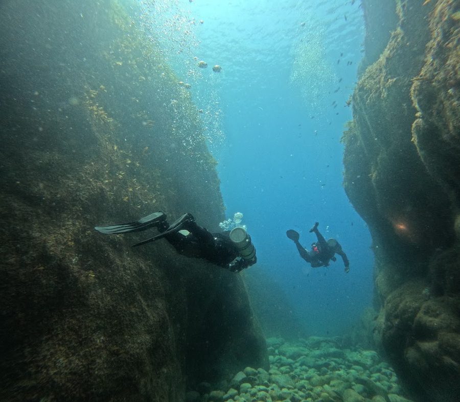 sumdive