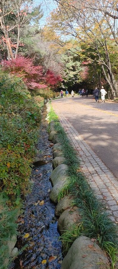 남산북측순환로입구