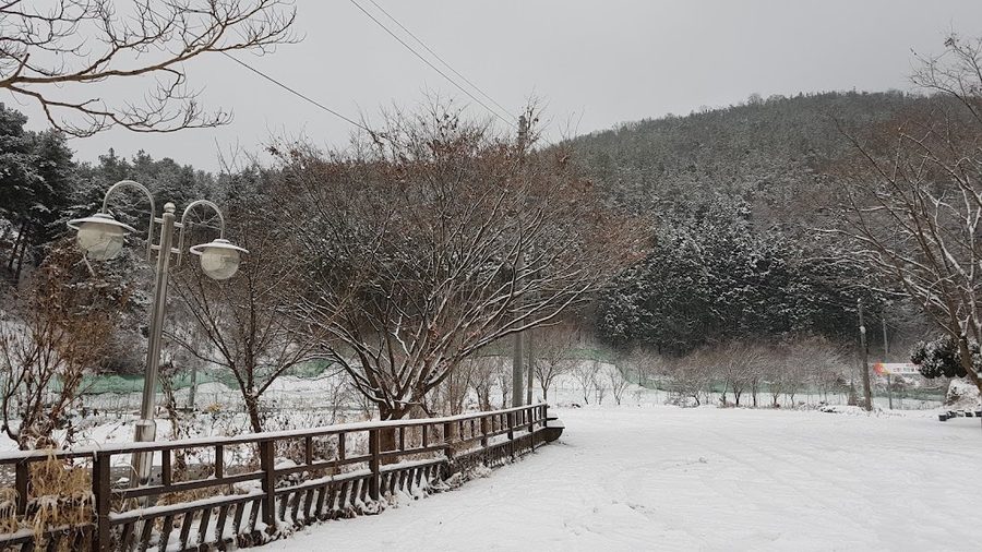 牙中體育公園