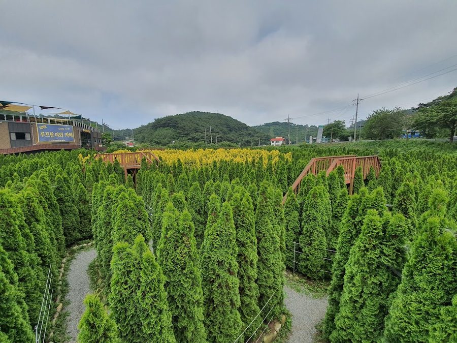 바람아래관광농원