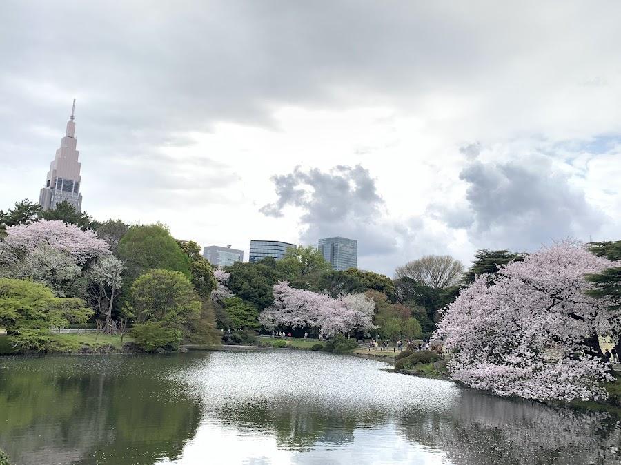 新宿御苑