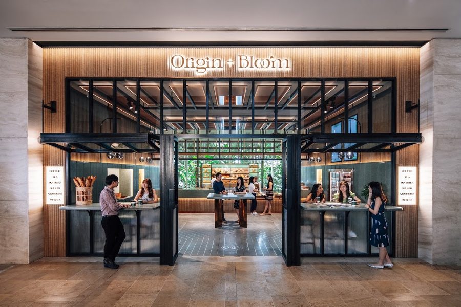 Origin + Bloom