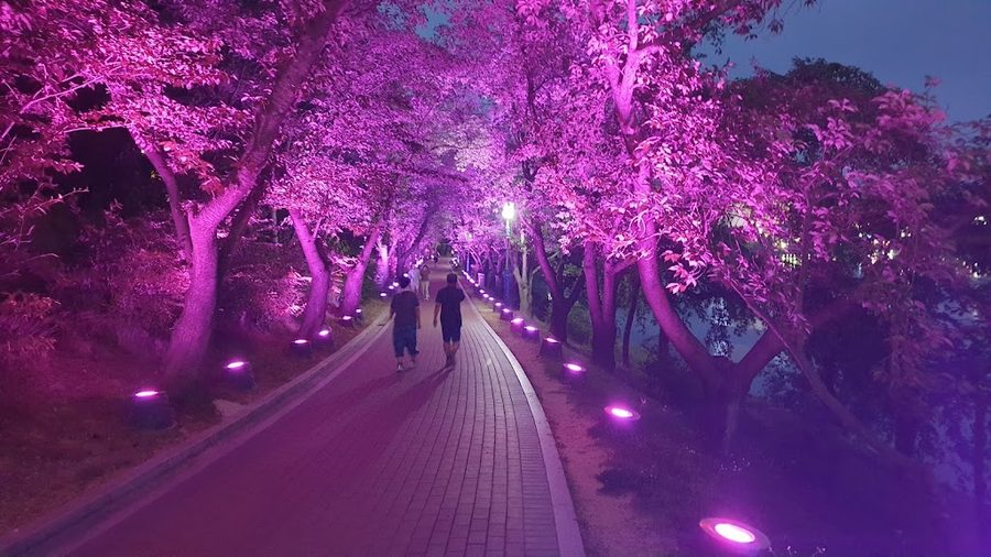 Mokwol Park