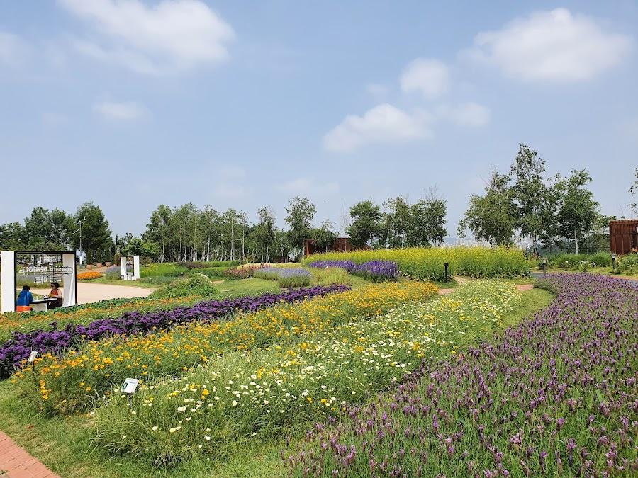 Herb & Astronomy Park
