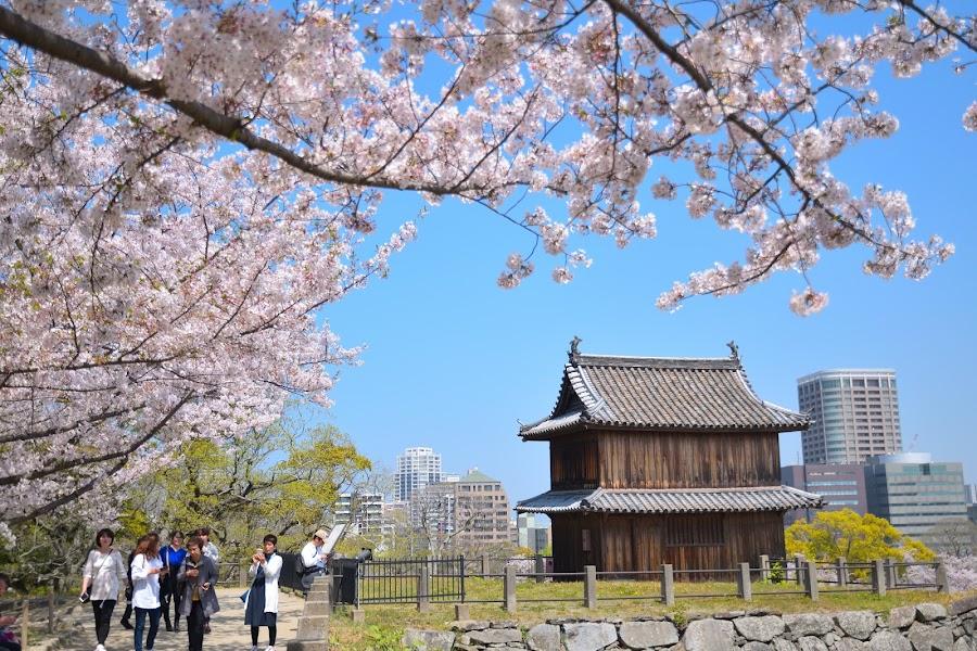Fukuoka Castle Ruins