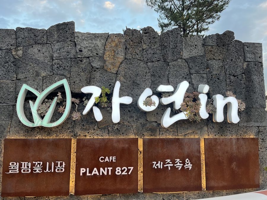 월평꽃시장