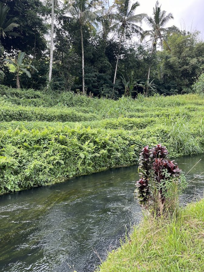 Babahan Crystal Water
