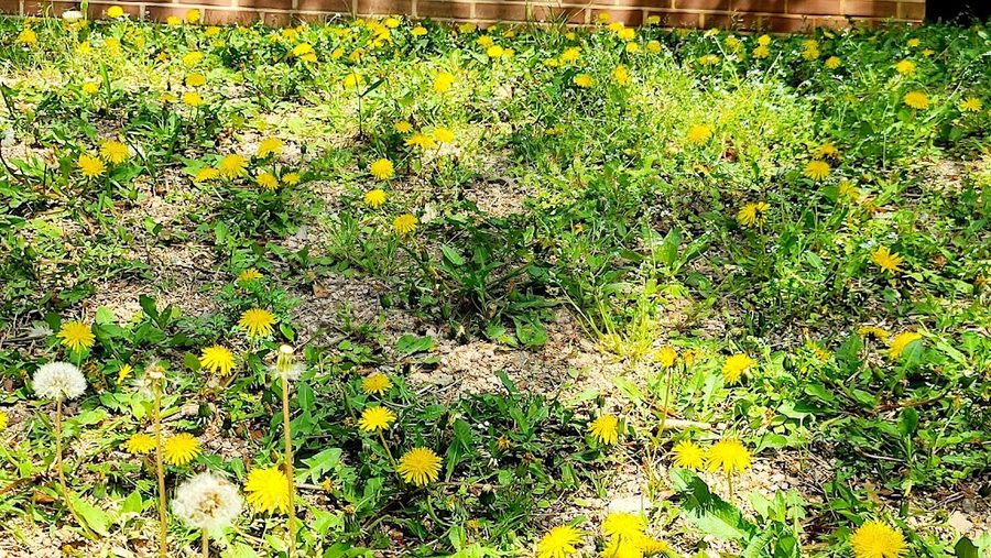13호어린이공원