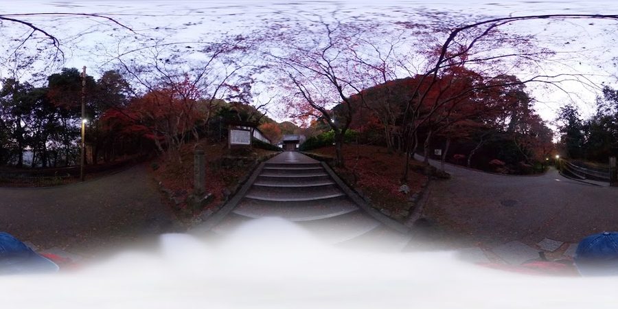 Choe Seungwon