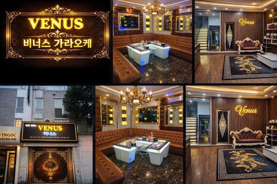 비너스가라오케